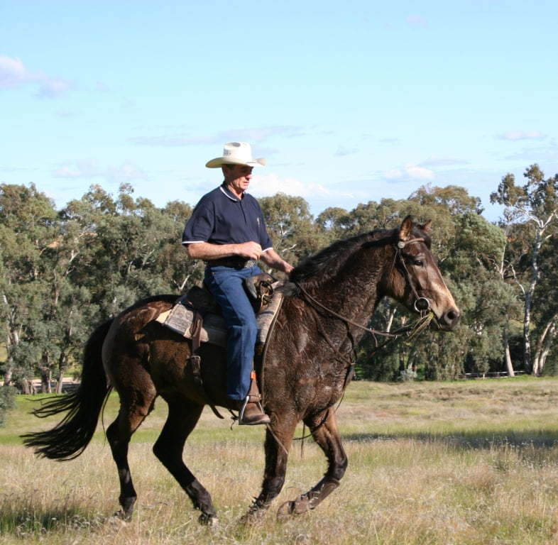 Green to Dressage (Downloadable) | Horseproblems Australia
