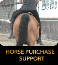 HORSE-PURCHASE-ASSESSMENTS 