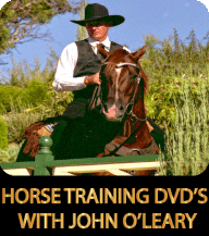HORSE-TRAINING 