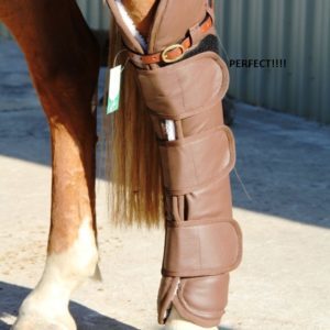 Horse Starting Boots