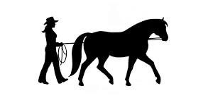 Long-Reining-the-Horse-300x139 